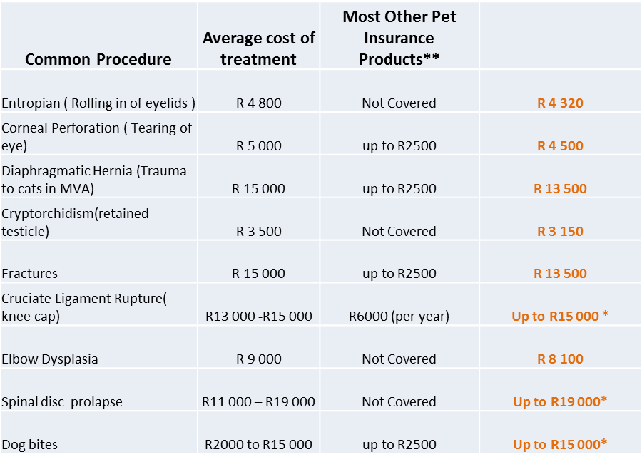 Pet-insurance-compared ⋆ PawPaw Pet Health Insurance