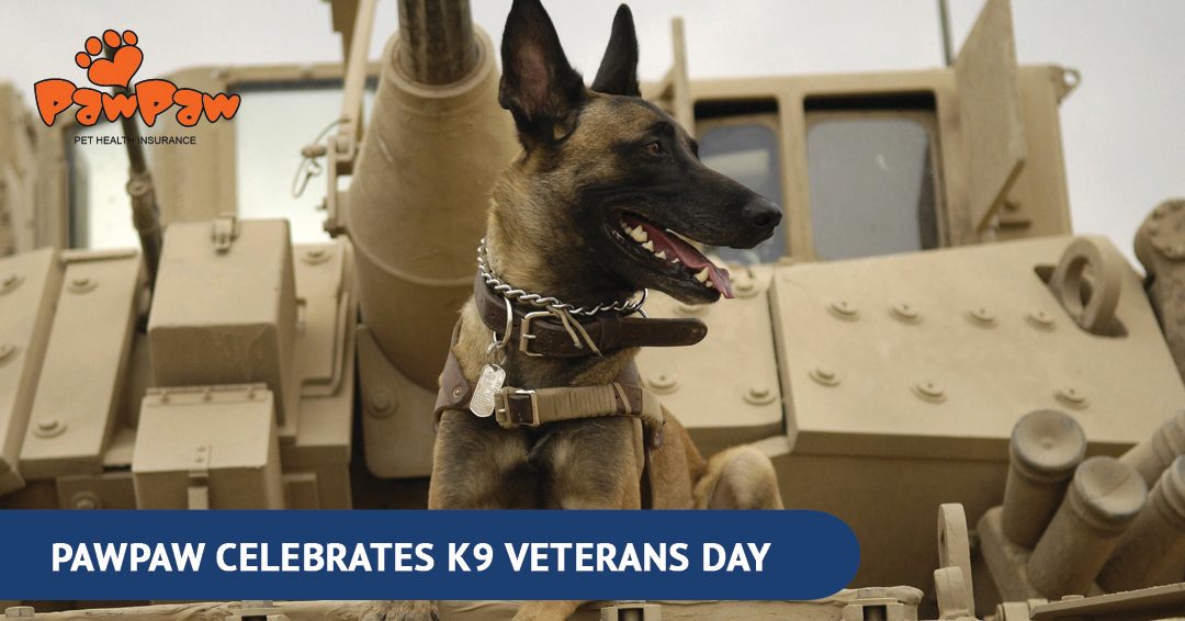 NATIONAL K9 VETERANS DAY