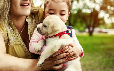 10 Reasons Pets Are Good for Kids