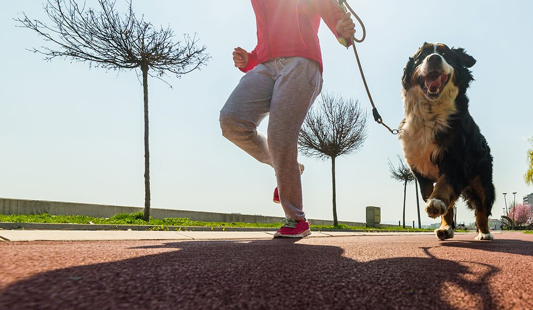 5 reasons why your dog makes the perfect workout partner