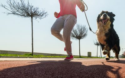 5 reasons why your dog makes the perfect workout partner
