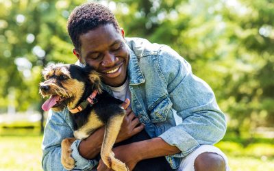 Decoding the Complexities of Hugging Your Dog