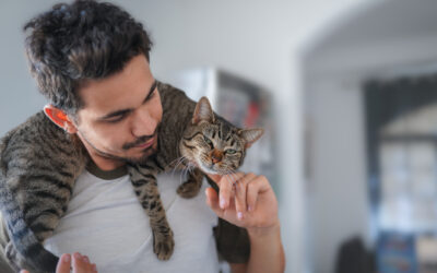 Are Male Cats More Affectionate?