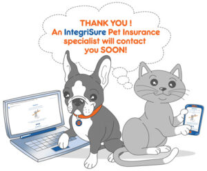 Thanks-for-getting-a-pet-insurance-quote-from-PawPaw-Pet-Insurance