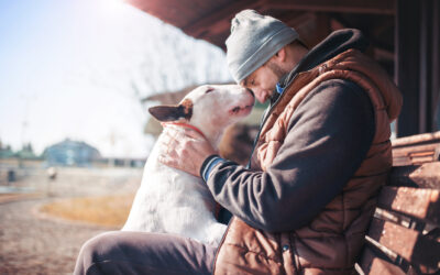How to Strengthen Your Bond with Your Canine Companion
