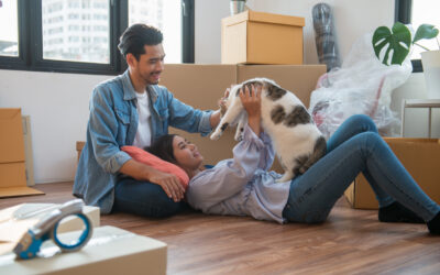 Moving with Cats: Ensuring a Smooth Transition