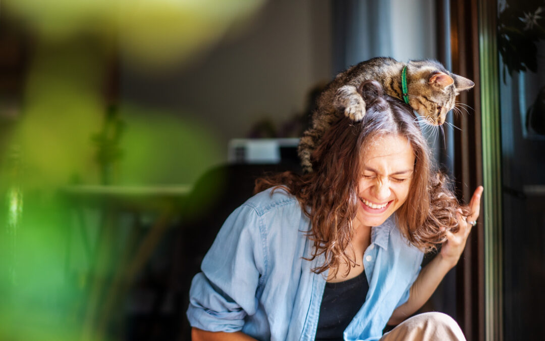 How to Bond with Your Cat: Building a Lasting Relationship