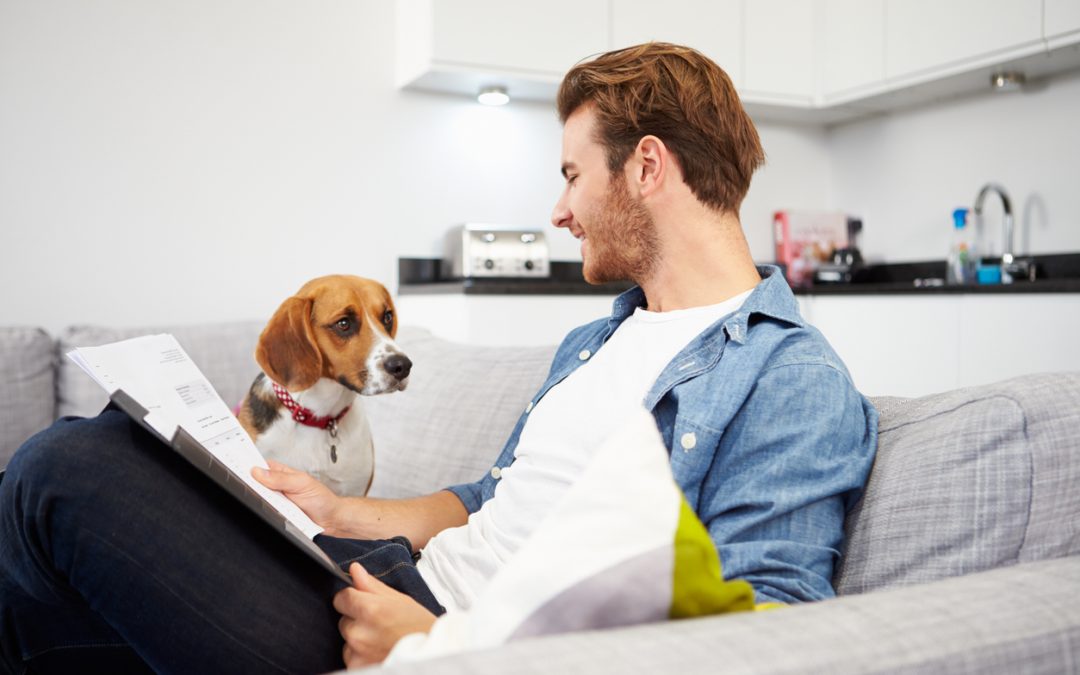 Choosing the Right Pet Insurance: What Every Pet Parent Should Know