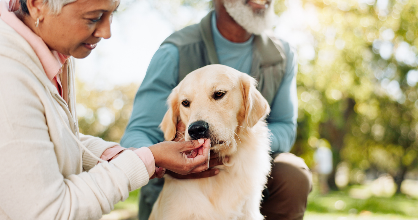 Senior Pet Care: How to Keep Your Aging Pet Happy and Healthy