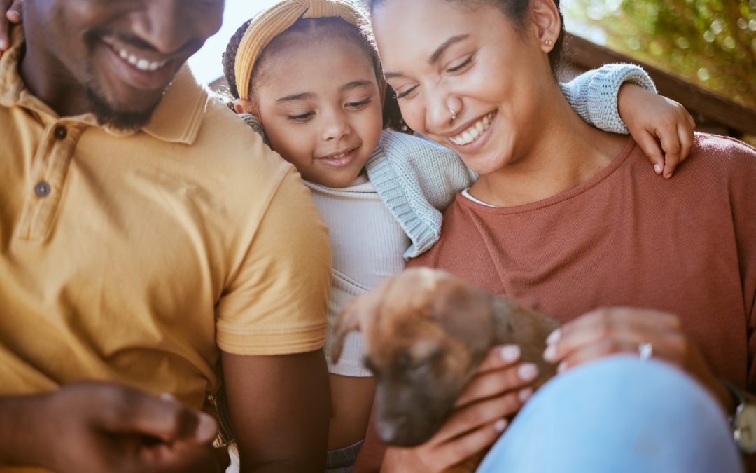 How to Introduce a New Pet to Your Home: A Step-by-Step Guide