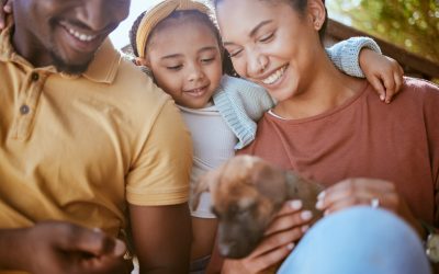 How to Introduce a New Pet to Your Home: A Step-by-Step Guide
