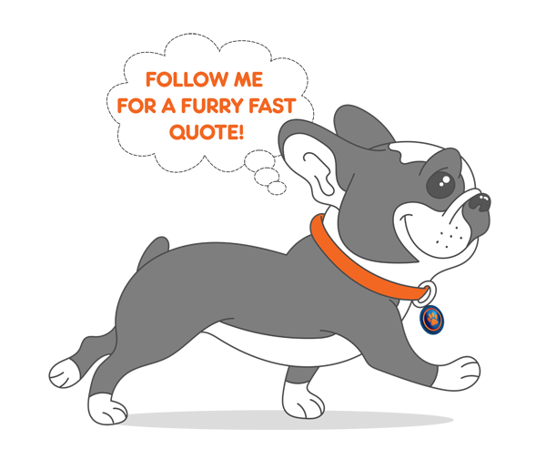 PawPaw-Pet-Insurance-Quote PawPaw-Pet-Insurance-Quote get your pet insurance quote