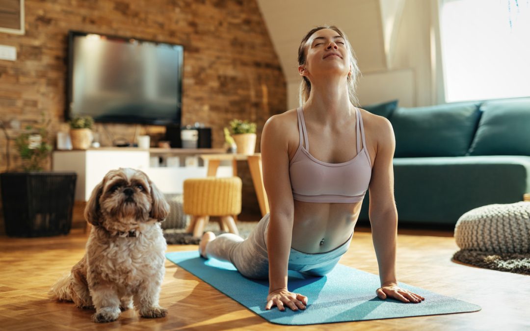 Exercise for Pets: Fun Activities to Keep Your Pet Active and Fit