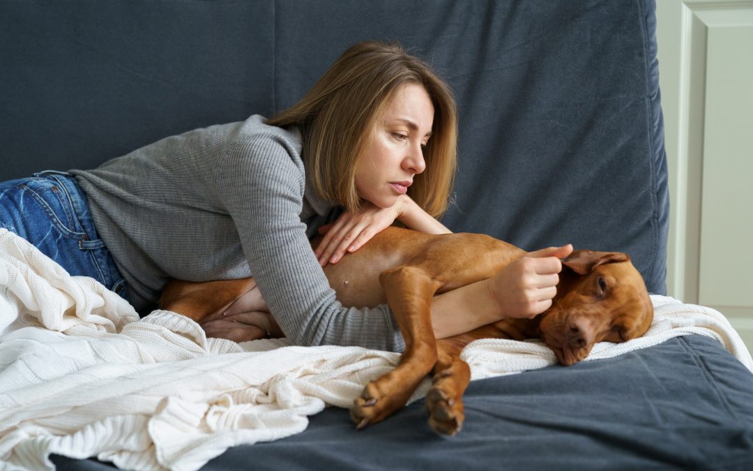Understanding Common Pet Illnesses: Symptoms Every Owner Should Know