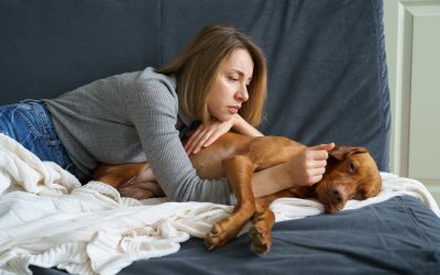 Understanding Common Pet Illnesses: Symptoms Every Owner Should Know
