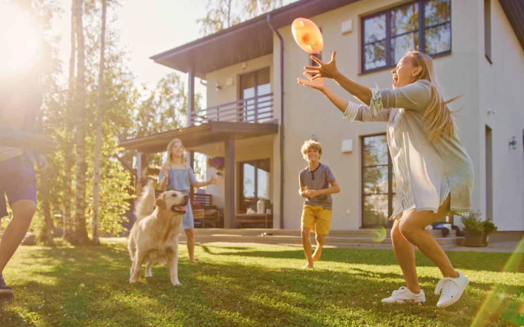 How to Create the Perfect Pet-Friendly Garden