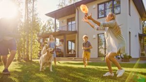 Create a pet friendly garden - by PawPaw Pets