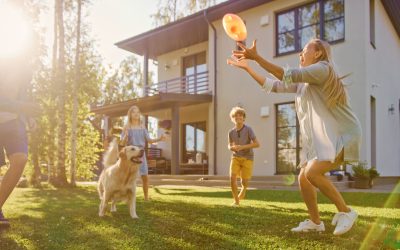 How to Create the Perfect Pet-Friendly Garden