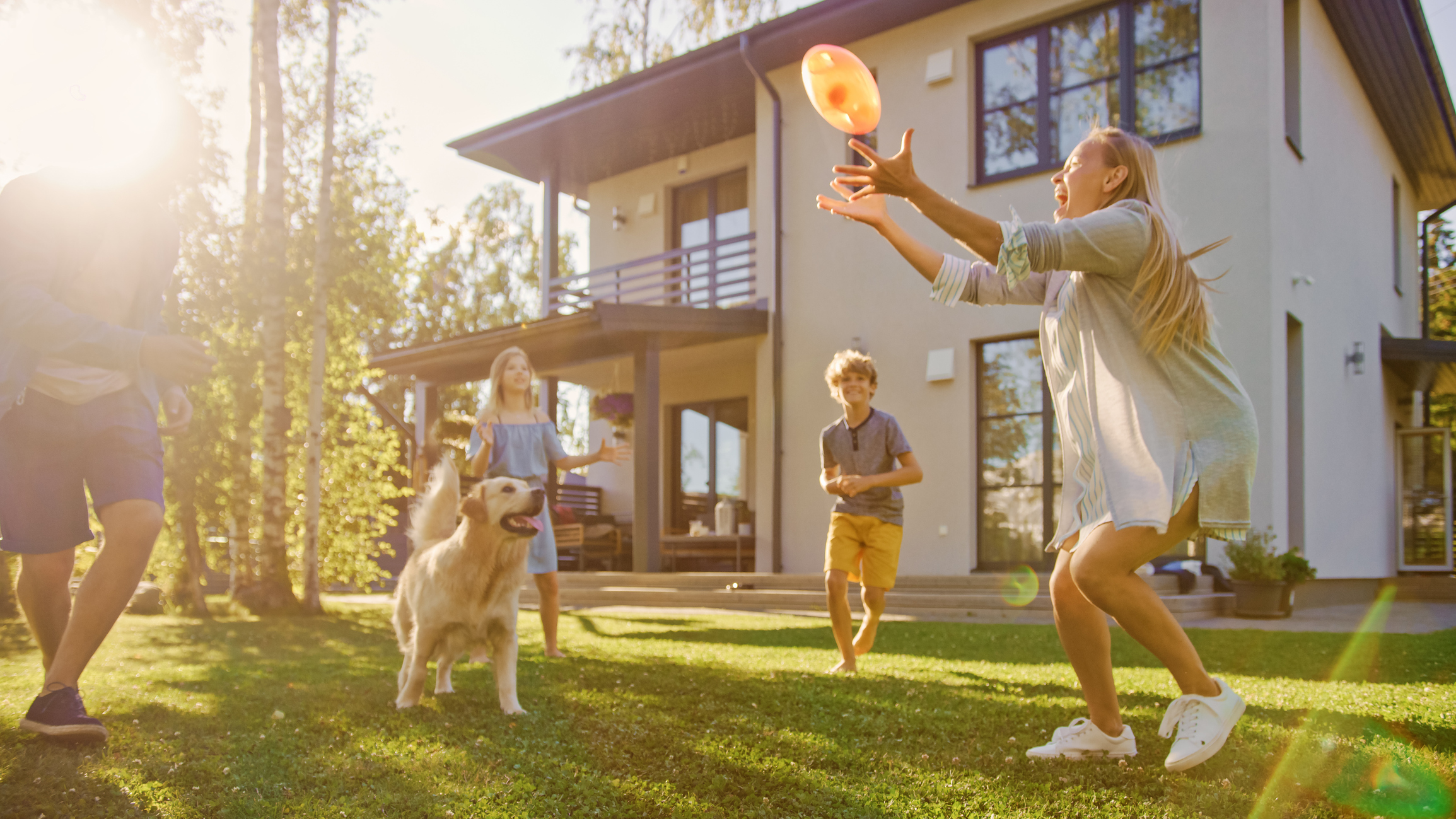 Create a pet friendly garden - by PawPaw Pets