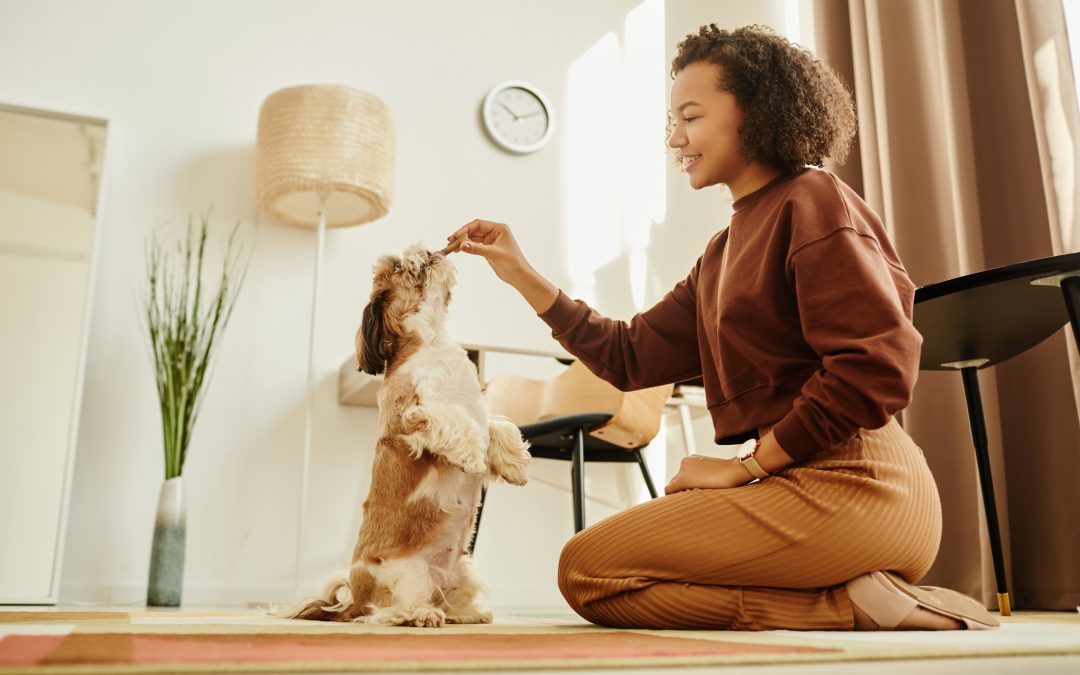 Pet Training Mistakes to Avoid: How to Set Your Pet Up for Success