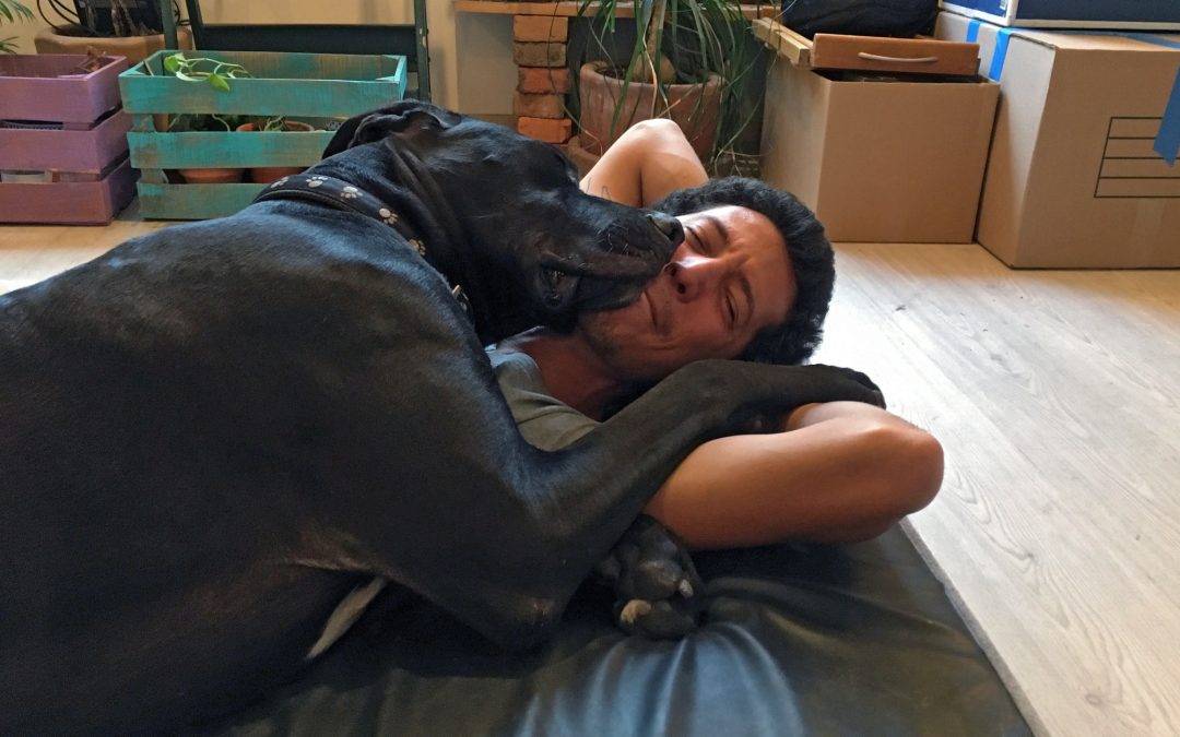 Understanding Breed-Specific Health Issues: What to Watch Out For