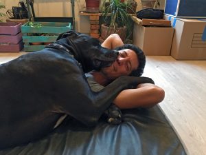 Understanding Breed-Specific Health Issues - PawPaw Pet Insurance South Africa