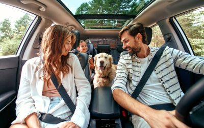 Pet Travel Essentials: Must-Have Gear for Adventures with Your Furry Friend