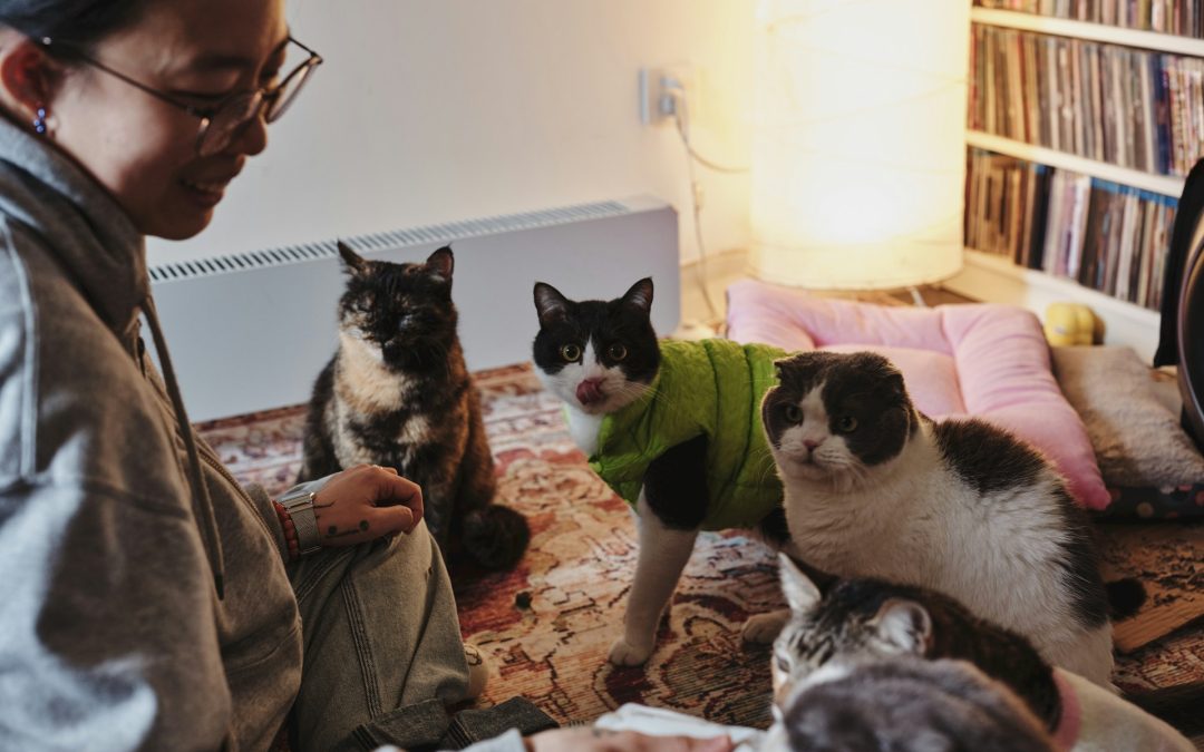 The 15-Minute Rule: A Small Daily Habit That Can Make Your Pet Happier
