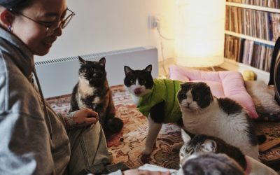 The 15-Minute Rule: A Small Daily Habit That Can Make Your Pet Happier