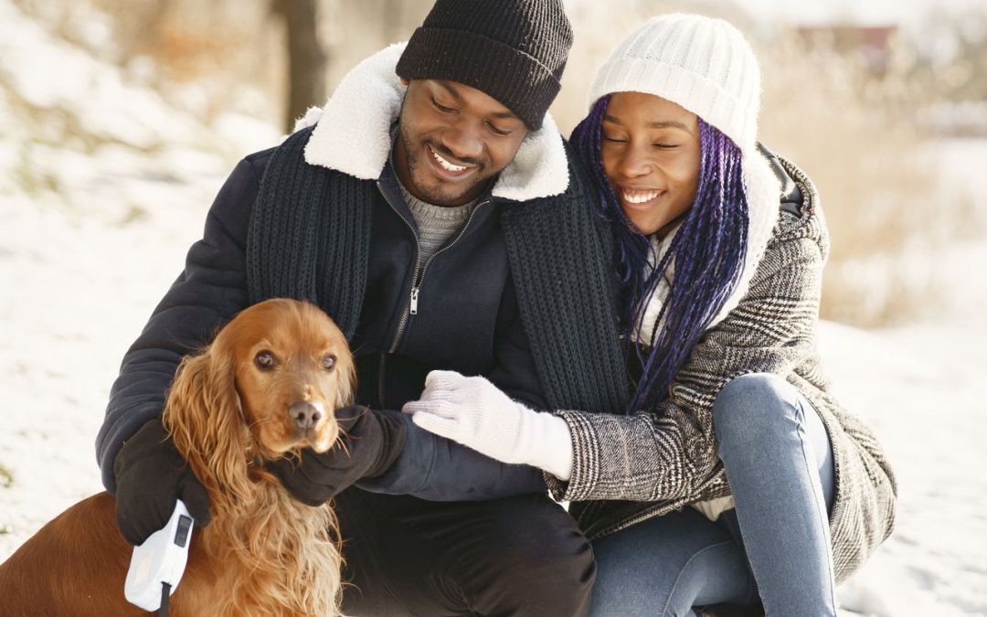 Microchipping Your Pet: Tiny Chip, Very Important Job